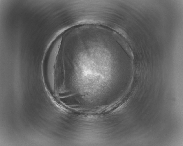 X0000068821030200605191828