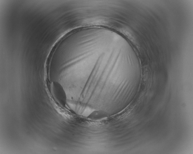 X0000068821031200605191828