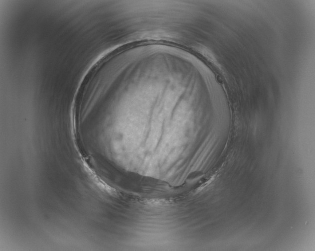 X0000068821032200605191828