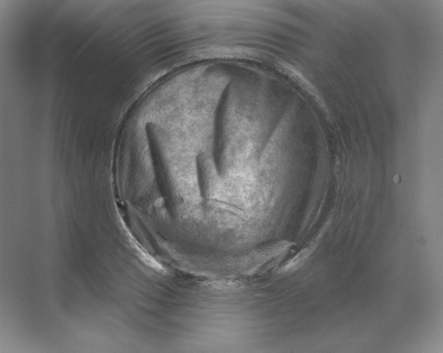 X0000068821033200605191828