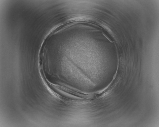 X0000068821034200605191828