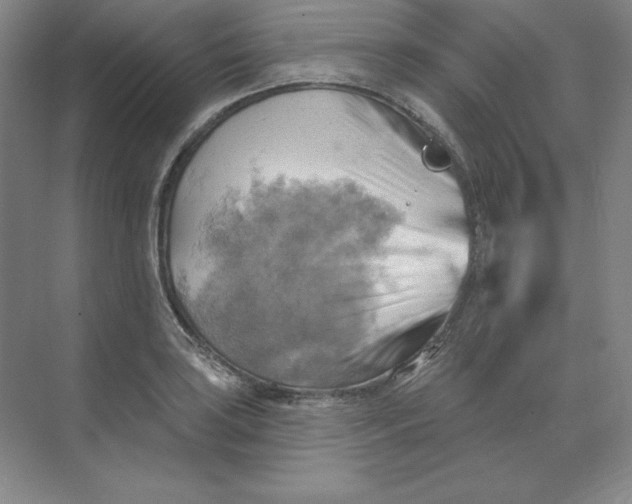 X0000068821035200605191828