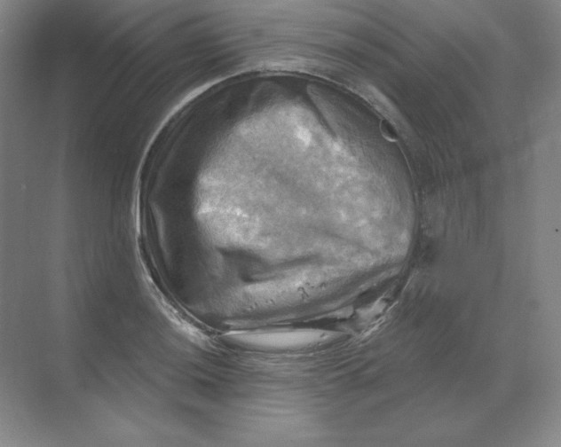 X0000068821036200605191828