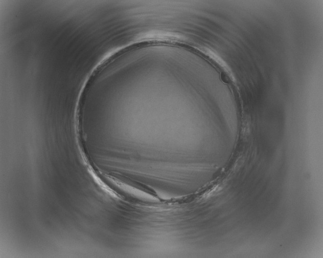 X0000068821037200605191828