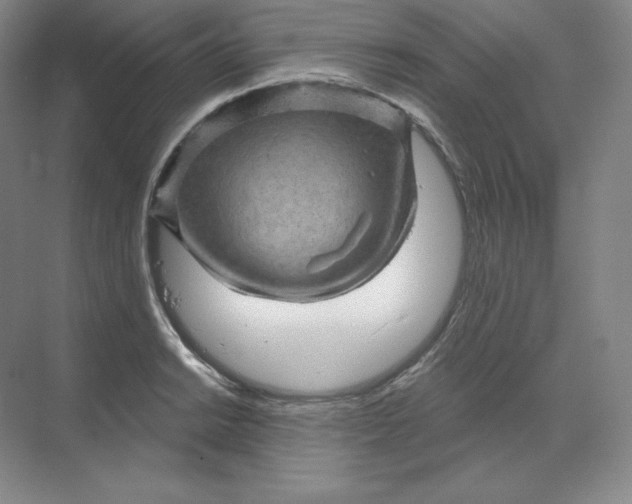 X0000068821038200605191828