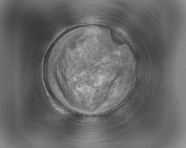 X0000068821039200605191828