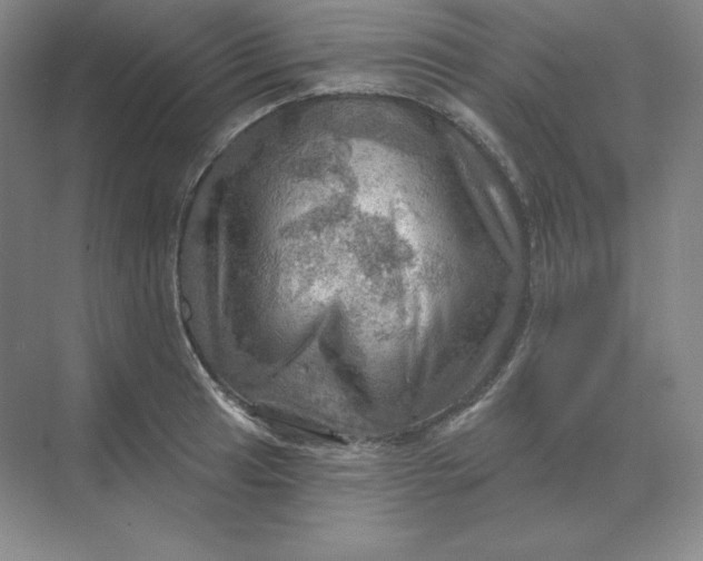 X0000068821041200605191828