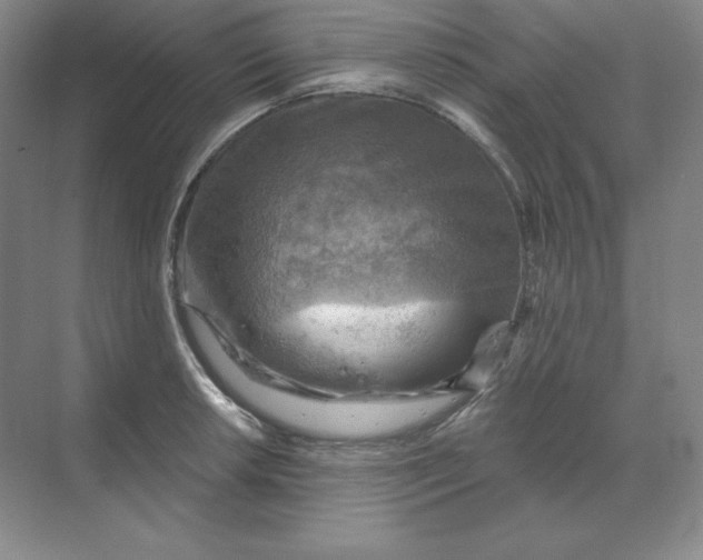 X0000068821042200605191828