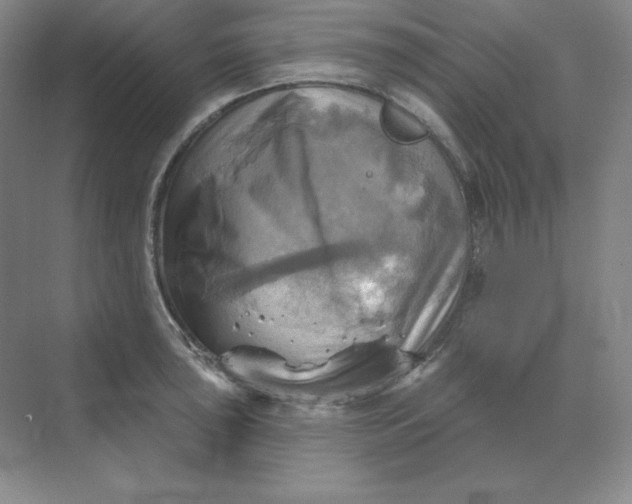 X0000068821043200605191828