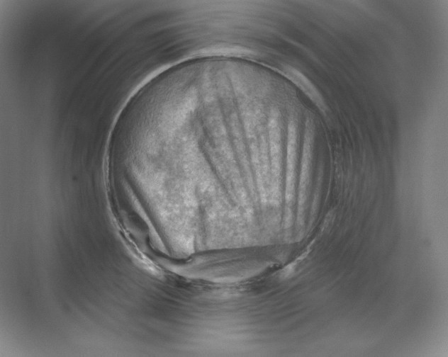 X0000068821044200605191828