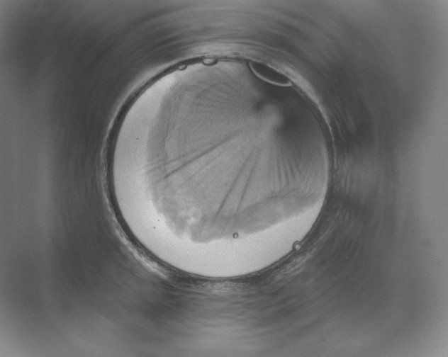 X0000068821045200605191828