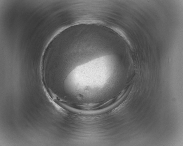 X0000068821046200605191828