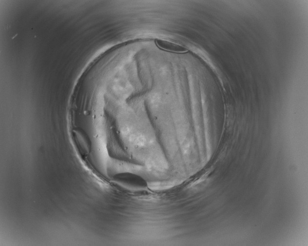 X0000068821048200605191828