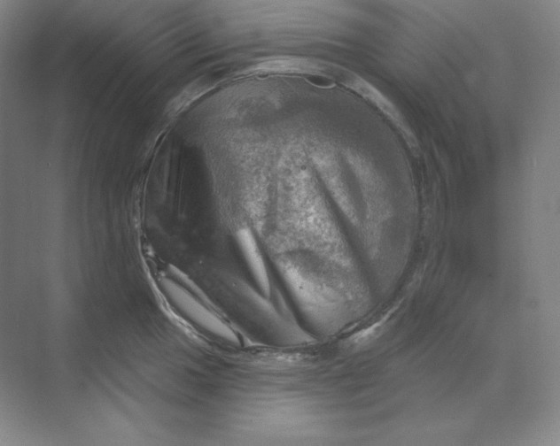 X0000068821049200605191828