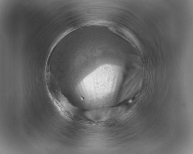 X0000068821050200605191828