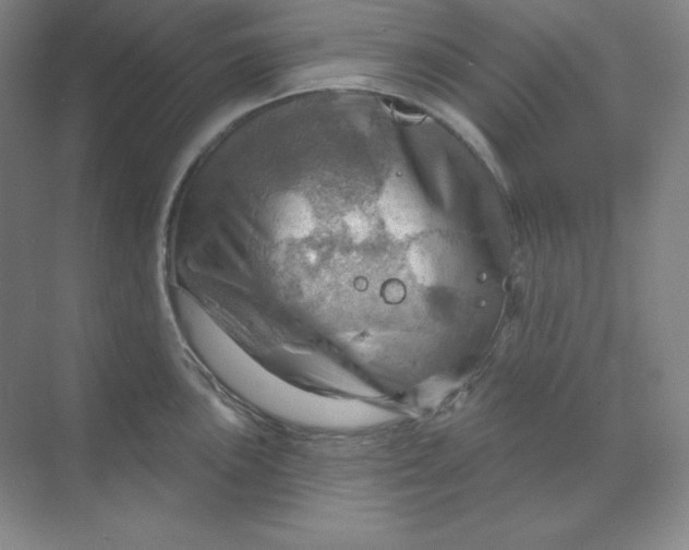 X0000068821051200605191828