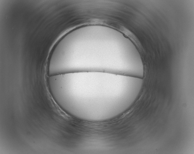 X0000068821052200605191828