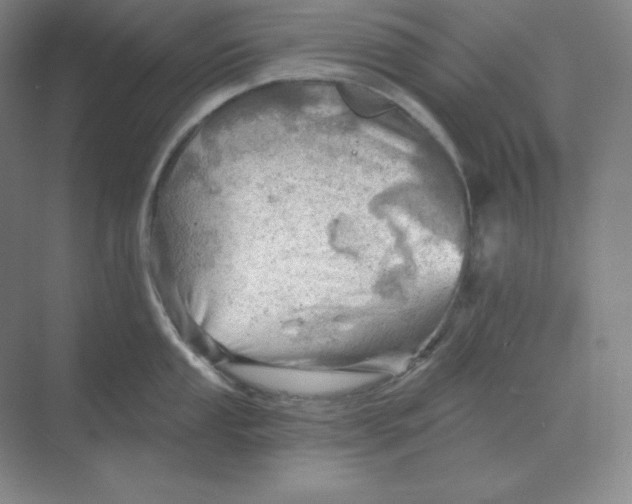 X0000068821053200605191828