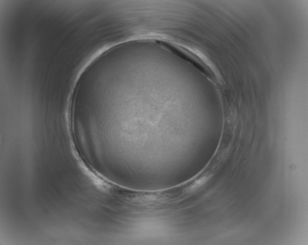 X0000068821054200605191828