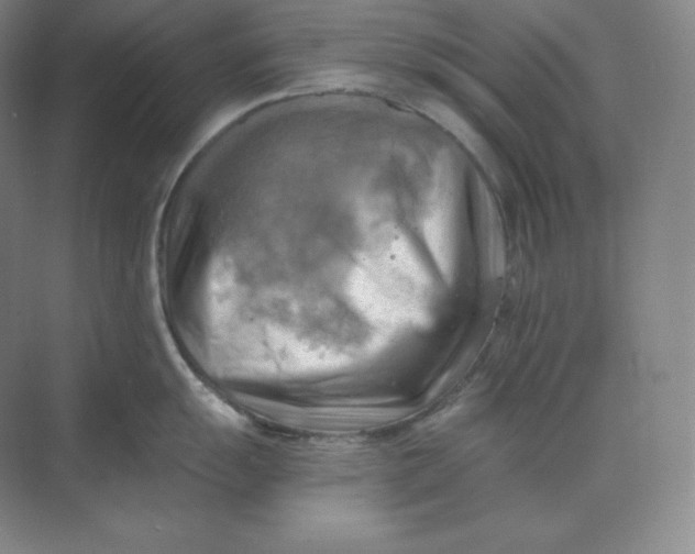 X0000068821055200605191828