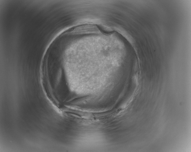 X0000068821056200605191828