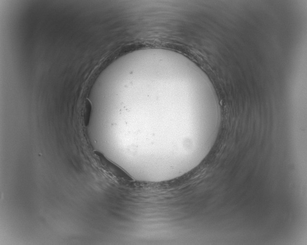 X0000068821057200605191827