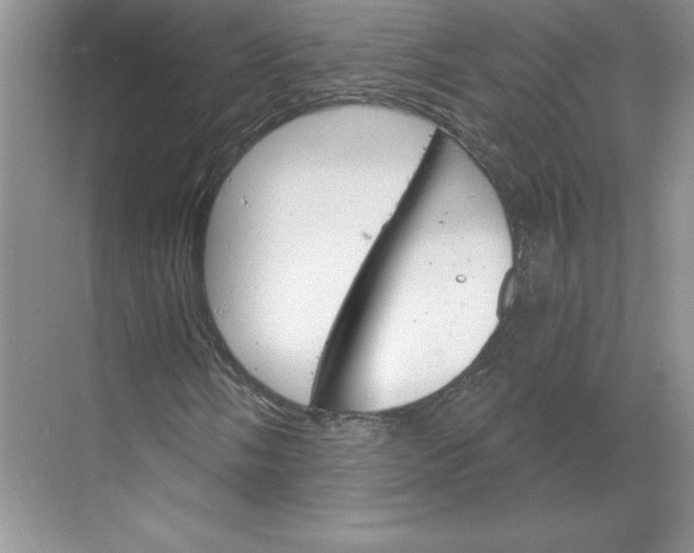 X0000068821058200605191827