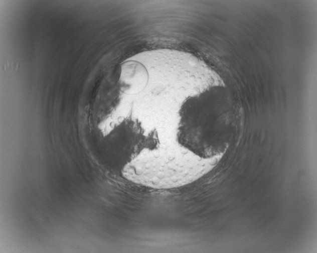 X0000068821059200605191827