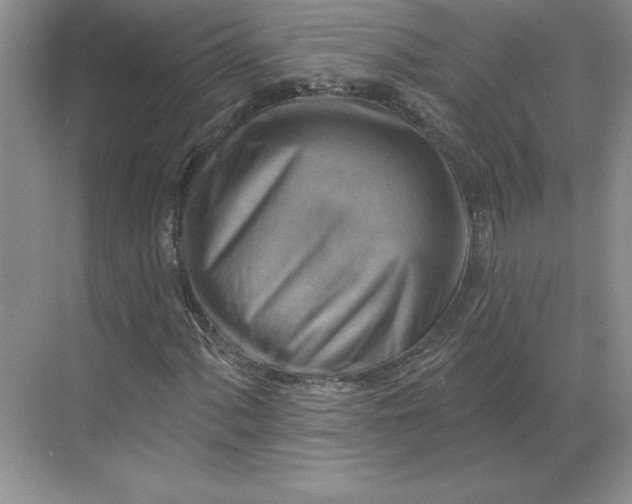 X0000068821060200605191827