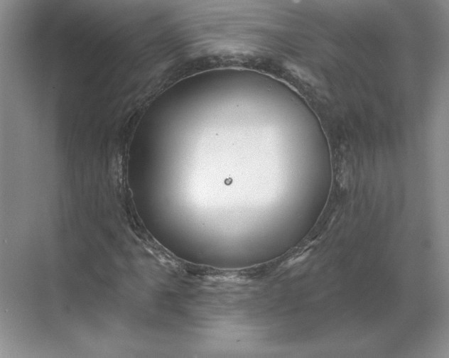 X0000068821061200605191827