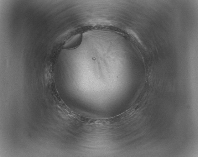 X0000068821063200605191827