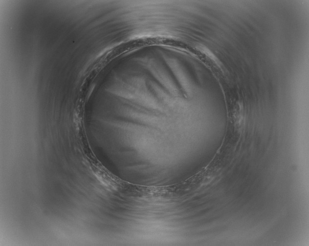 X0000068821064200605191827