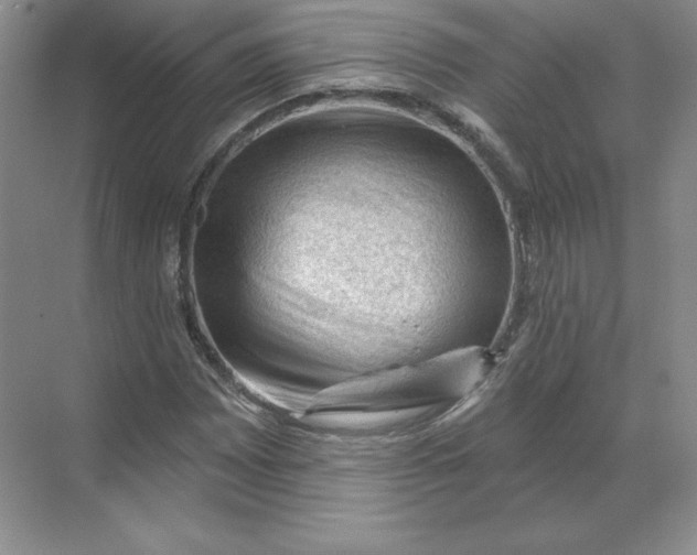 X0000068821065200605191827