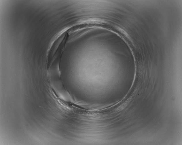 X0000068821066200605191827