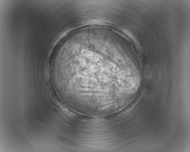 X0000068821067200605191827