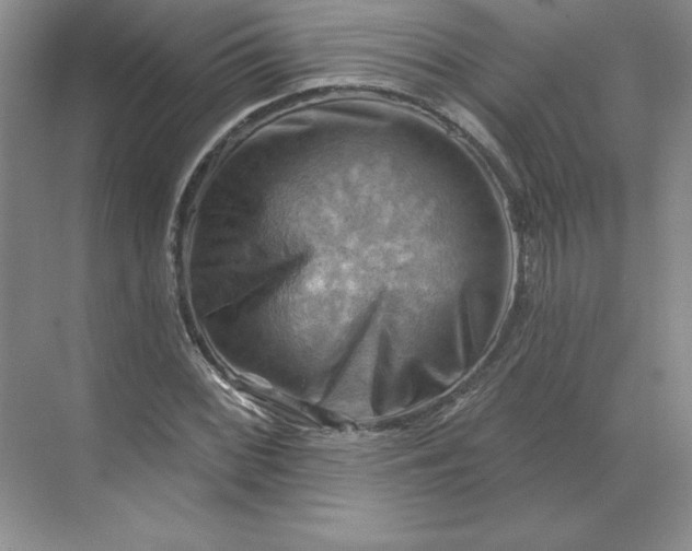 X0000068821068200605191827