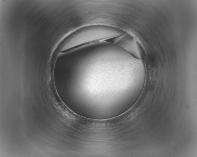 X0000068821069200605191827