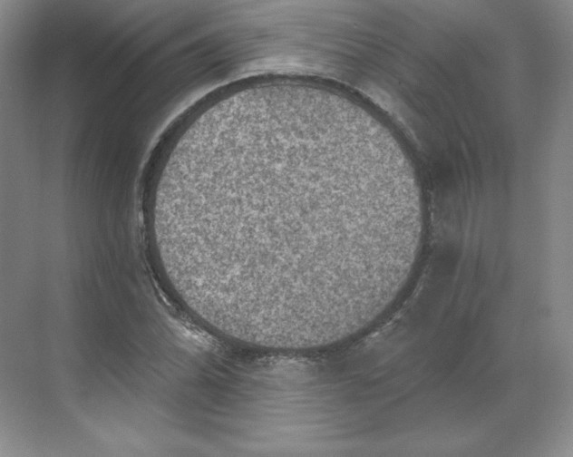 X0000068821070200605191827