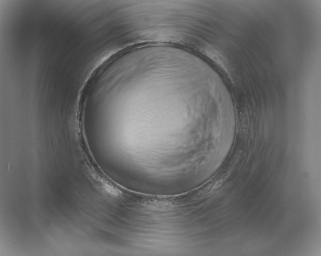 X0000068821071200605191827