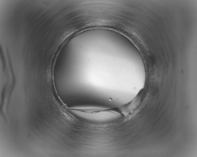 X0000068821073200605191827