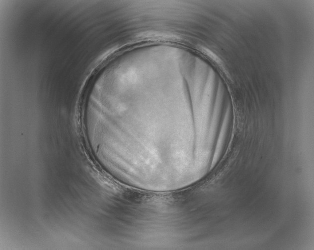 X0000068821074200605191827