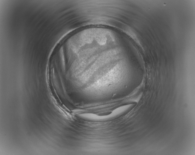 X0000068821076200605191827