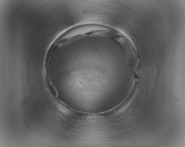 X0000068821077200605191827