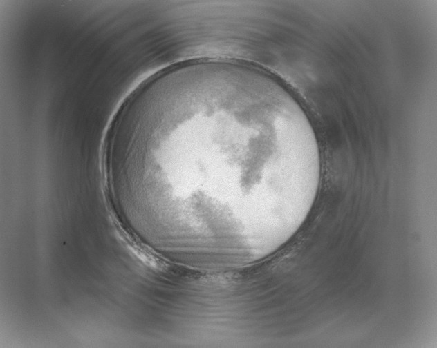 X0000068821078200605191827