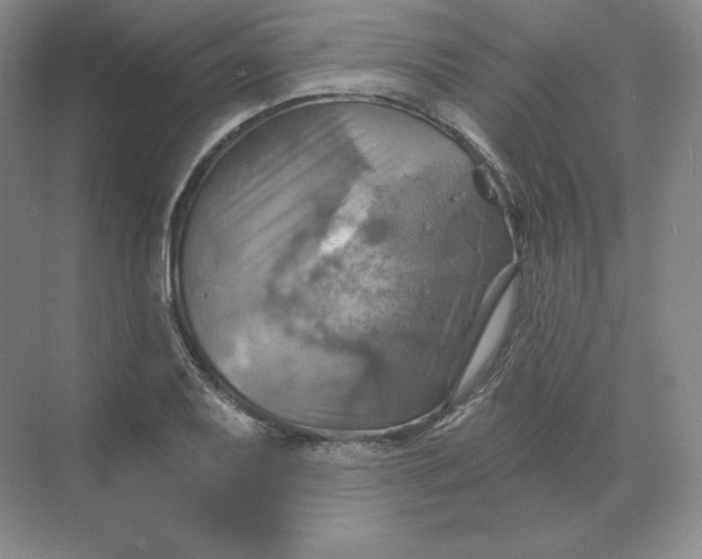 X0000068821079200605191827