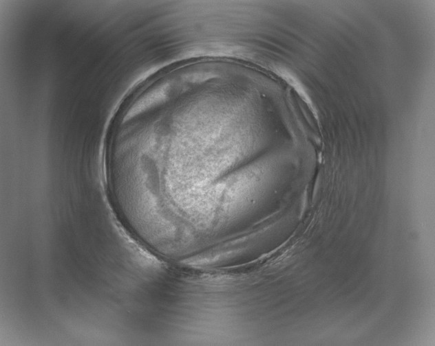 X0000068821080200605191827