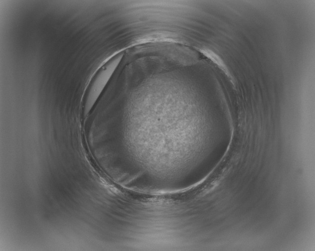 X0000068821081200605191827