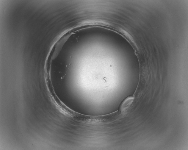 X0000068821082200605191827