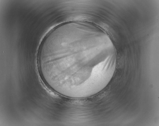 X0000068821086200605191827