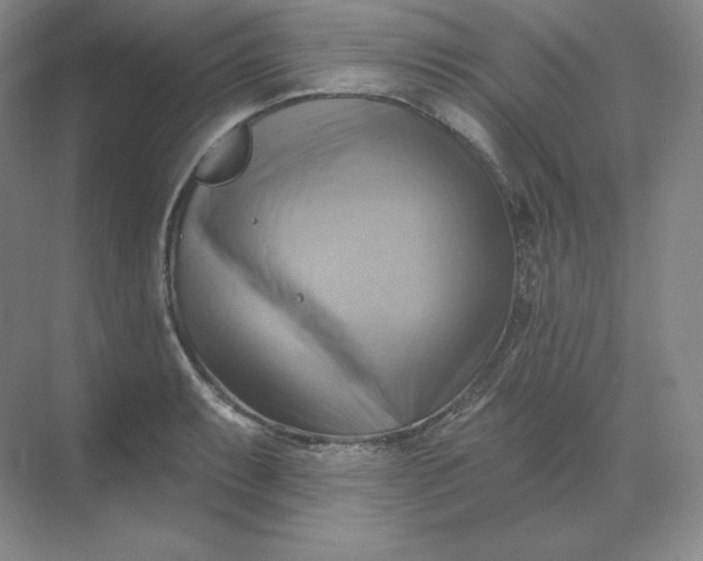 X0000068821087200605191827